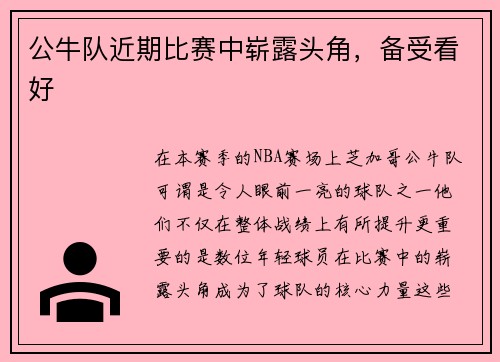 公牛队近期比赛中崭露头角，备受看好