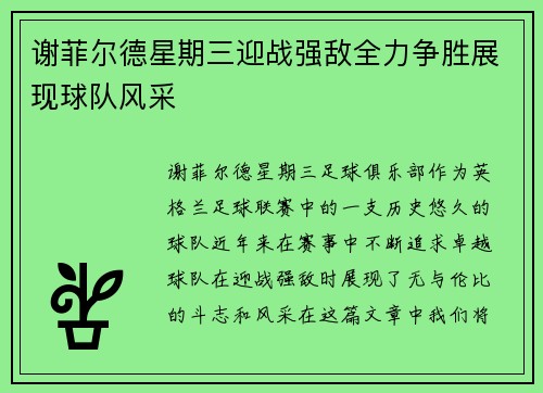 谢菲尔德星期三迎战强敌全力争胜展现球队风采