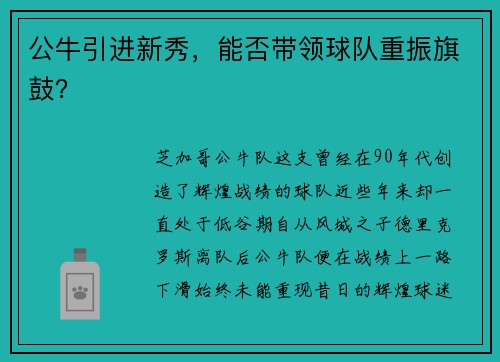 公牛引进新秀，能否带领球队重振旗鼓？